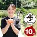 fu.... налог Awaji Island шар лук порей .-AYUMU- 10kg шар лук порей Hyogo префектура .. город 