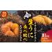 fu.... налог Hokkaido . документ остров производство морской еж. еда . сравнение комплект 1kg(.. морской еж hemicentrotus * Kitamura saki морской еж ) рыба моллюски .... Hokkaido . документ блок 