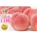 fu.... tax { preceding reservation } fruit kingdom Yamagata white peach 5kg. home for FSY-0425 Yamagata prefecture 