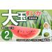 fu.... налог ... арбуз большой шар примерно 6~7kg×2 шар . мир 8 год производство Ibaraki префектура Shimotsuma город 