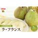 fu.... налог [2026 год производство предшествующий предварительный заказ ] фрукты. женщина .[la* Франция ] примерно 5kg (14~18 шар входить ) Yamagata префектура восток корень город hi026-060la Франция груша обыкновенная . нет f.. Yamagata префектура восток корень город 