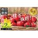 fu.... налог [2026 отчетный год предварительный заказ минут ] больше количество примерно 2kg!.. выдающийся!! помидор .. тоже еда .... помидор Berry 4 месяц ~6 месяц отправка овощи сомелье summit золотой . выигрыш длина.. префектура Аичи . юг город 