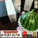 fu.... налог [ сейчас ... ...* подарок коробка ].......( маленький шар 1.7kg)[ рассылка не возможно регион : отдаленный остров ][1378161] Okinawa префектура сейчас ...
