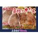 դ뤵Ǽ ̾ʪڤ1.2kg200g  6 ˾ BBQ04209-0006-FN ܾ븩¿
