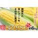 fu.... tax morning .. corn approximately 6kg(.. thing )[ preceding reservation :2024 year 7 month on .~8 month last third .. sequential shipping expectation ][ maize Ibaraki corn under.. Ibaraki prefecture Shimotsuma city 