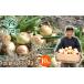 fu.... налог название рука сельское хозяйство .. Awaji Island Special производство шар лук порей 10kg [ лук репчатый лук ] Hyogo префектура .. город 