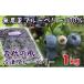 fu.... tax [ preceding reservation ][ old fee. manner ] less pesticide blueberry 1kg[ freezing ]7 month shipping beginning <1-56> Miyazaki prefecture west city 