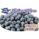 fu.... налог голубика 500g master ni сельское хозяйство . голубика голубика голубика F014-136001 Ehime префектура . мир остров город 