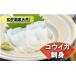 fu.... налог это еда .. кальмар .!!. sashimi kou кальмар 300g(50g×6P)[H0080] Fukuoka префектура удача Цу город 
