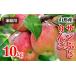 fu.... tax [ home use ] Yamagata production sun .. apple super goods and more 10kg FZ23-452 Yamagata prefecture Yamagata city 