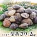 fu.... налог камень шт * десять тысяч камень .. ....(2kg) молодь жёсткой ракушки ... натуральный .plipli гарнир тест .. песок вытащенный Miyagi префектура камень шт город 