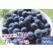fu.... налог [2026 год предшествующий предварительный заказ ]7 месяц ~9 месяц первая декада отправка! сельское хозяйство дом . магазин. высшее . голубика средний шарик 500g(250g×2 упаковка ) высокий втулка кролик I.. Yamanashi префектура север . город 