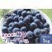 fu.... налог [2026 год предшествующий предварительный заказ ]7 месяц ~9 месяц первая декада отправка! сельское хозяйство дом . магазин. высшее . голубика средний шарик 1kg(250g×4 упаковка ) высокий втулка кролик I b.. Yamanashi префектура север . город 