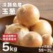 fu.... налог Awaji Island лук 5kg [ культивирование период средний, нет пестициды культивирование ] размер смешивание SS~2L шар лук порей Hyogo префектура .. город 