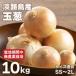 fu.... налог Awaji Island лук 10kg [ культивирование период средний, нет пестициды культивирование ] размер смешивание SS~2L шар лук порей Hyogo префектура .. город 