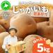 fu.... налог < предшествующий предварительный заказ > Hokkaido производство картофель ( север ...) примерно 5kg[55250842] Hokkaido date город 