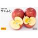 fu.... tax Shinshu small various production sun .. apple home use approximately 10kg Nagano prefecture production fruit fruit .. Nagano prefecture small various city 