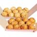 fu.... налог takoyaki Nagoya способ соевый соус рефрижератор 20ko еда . сравнение . ткань тест тунец-бонито тест рис мука ввод комплект красный белый .. оригинал ..CAS рефрижератор предубеждение префектура Аичи юг . много блок 
