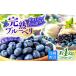 fu.... налог [2026 год 6 месяц .. последовательный отправка ] голубика 1kg< широкий Цу сельское хозяйство .>[CBN008] свежий прямая поставка от производителя фрукты здоровье рефрижератор культивирование период средний пестициды не использование b.. Nagasaki префектура запад море город 