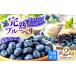 fu.... налог [2026 год 6 месяц средний ... отправка ].. голубика итого 2kg [CBN009] голубика свежий прямая поставка от производителя Nagasaki префектура запад море город 