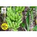 fu.... налог песок склон ферма. premium banana (80шт.@ передний и задний (до и после) )[ юг семена блок туристический предмет производство павильон тонн mi- рынок ] Кагосима префектура юг семена блок 