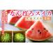 fu.... налог арбуз Hokkaido юг тент блок 8 месяц отправка Hokkaido производство .... арбуз 2 шар большой шар . мир 8 года производства 8 месяц отправка начало юг тент блок NP1-076