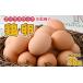 fu.... налог яйцо ( курица,.. курица и т.п. ) Kanagawa префектура Sagamihara город куриное яйцо Prima s блокировка (. распределение вид ). яйцо несессер ввод 30 шт 