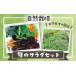 fu.... налог комплект *... Tottori префектура кото . блок природа культивирование .. салат комплект примерно 1kg