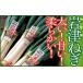 fu.... налог овощи вид лук порей Hyogo префектура утро . город предшествующий предварительный заказ утро . город Special производство скала Цу лук порей 3kg( в коробке ) предшествующий предварительный заказ скала Цу лук порей скала Цу лук-батун свежий местного производства .. толстый мягкий аромат .....