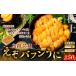 fu.... налог морской еж Hokkaido Кусиро город город свежесть выдающийся первоклассный сырой .. полировка n.. сырой ...250g..... налог ..F4F-3210