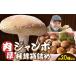 fu.... налог овощи вид .. . Kagawa префектура три дерево блок мясо толщина jumbo .. коробка ..20 шт и больше |...... jumbo мясо толщина шиитаке 20 шт plipli еда чувство коробка .. Kagawa префектура три дерево...