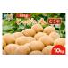 fu.... налог овощи вид картофель Hokkaido камень . город камень . производство картофель (...) 10kg...10kg.. сумма :12,000 иен 