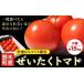 fu.... налог овощи вид помидор Tochigi префектура . дерево блок помидор .... помидор примерно 1.5kg маленький коробка Tochigi префектура . дерево блок производство стрела поле ..... комплект .{2025 год 10 месяц сверху .-2026 год 5 конец месяца примерно отгрузка }...