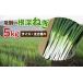 fu.... налог овощи вид лук порей Gifu префектура .. город { ограниченное количество специальный .. сумма .. руководство } есть перевод ... корень глубокий лук порей 5kg приправа из . кастрюля до рекомендация белый лук порей белый лук-батун размер * futoshi...