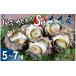 fu.... налог Sazae Shizuoka префектура юг . бобы блок do...S класс Sazae ... Sazae . морепродукты BBQ.. жарение sashimi барбекю подарок &lt;AS-23&gt;