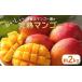 fu.... налог манго Okinawa префектура ... город .. следующий манго .. .. манго примерно 2Kg предшествующий предварительный заказ 2026 год отправка 