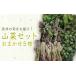 fu.... налог овощи вид дикоросы Yamagata префектура длина . город 2026 год отправка Yamagata. дикоросы случайный 5 вида комплект (700g и больше )_H047(R8)