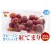 fu.... налог фрукты вид вишня Yamagata префектура восток корень город Frozen вишня [....] 2L шар 180g входить ООО Sato . предлагается hi029-038 180g×1 упаковка 
