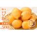 fu.... tax Kagawa prefecture Takamatsu city . sphere loquat vanity case approximately 500g[2024 year 5 month on .~2024 year 6 month middle . delivery ]