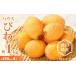 fu.... tax Kagawa prefecture Takamatsu city house loquat approximately 1kg[2025 year 3 month middle .~2025 year 5 month on . delivery ]