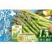 fu.... налог овощи вид спаржа Hokkaido .. другой блок 2026 год 5 месяц сверху . после последовательный отправка зеленый спаржа 1.5kg (M*L..|. земля культивирование ){.. другой блок } Kubota сельское хозяйство ....
