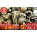fu.... налог рыба моллюски Hokkaido корень . город A-14133 Hokkaido корень . производство сырой еда для лампа шт. ..( Boyle завершено )250g×4P( итого 1kg)