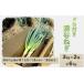 fu.... налог овощи вид лук порей Saitama префектура Fukaya город Fukaya лук порей (doro имеется )3kg×2 коробка | итого 6kg 11218-0210