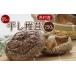 fu.... налог бакалейные продукты сушеные шиитаке Fukuoka префектура красный . местного производства красный . производство высушенный .. примерно 250g для бытового использования есть перевод ..... налог сухой ...... грибы .. . бесплатная доставка .......