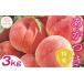 fu.... tax Fukushima prefecture date city Fukushima. peach .. attaching Special preeminence approximately 3kg(9~12 sphere ) date city production peach penetration type light sensor selection another preceding reservation fruit fruit .. Momo momo F20C-278