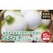 fu.... налог овощи вид шар лук порей Gunma префектура . холм город предшествующий предварительный заказ специальный культивирование сельское хозяйство производство предмет шар лук порей [ Sonic ] 10kg (2026 год 5 месяц средний ... время от времени отгрузка ) F20E-485