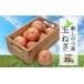 fu.... налог овощи вид шар лук порей Hokkaido новый . Цу . Hokkaido новый .. . производство шар лук порей L размер примерно 20kgo сигнал tsuk222 север клен 2000 лук лук репчатый oni on . суп Sara...