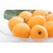 fu.... tax Ehime prefecture Matsuyama city [ preceding reservation ]*2024 year 5 month last third from shipping * Matsuyama city .. island production loquat 400g pack 5 pack entering . Ehime fruit 