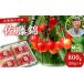 fu.... налог фрукты вид вишня Hokkaido . дерево блок 2027 год отправка вишня Sato .800g(200g×4)M-L размер смешивание sa Clan bo Cherry фрукты фрукты фрукты вид gif...