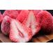 �ӂ邳�Ɣ[�� ������ ������ �{�b�� ������ ���܂��� �Ⓚ 500g 3�� �v1.5kg | ������ �C�`�S � ichigo itigo ���܂��� �A�}�I�E �ʕ� �������� �t���[�c ���c